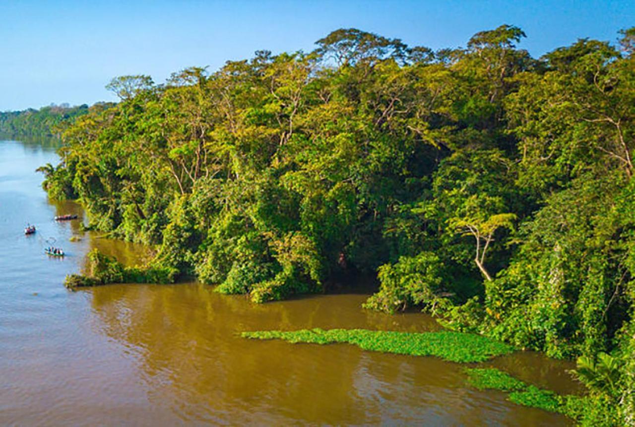 Casa Chilamates 2.0 Tortuguero Exteriör bild
